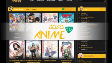 Top 5 Best GogoAnime Alternatives For Anime Streaming Sites