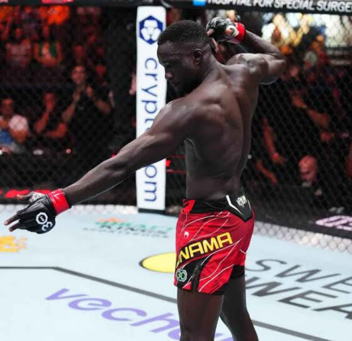 Adesanya Kickboxing Career