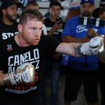 Canelo Net Worth
