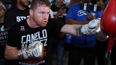 Canelo Net Worth