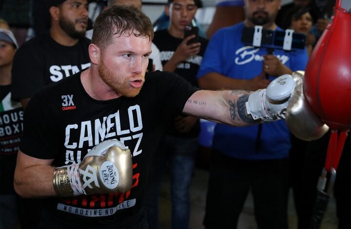 Canelo Net Worth