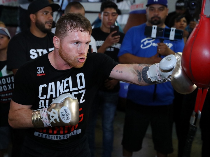 Canelo Net Worth