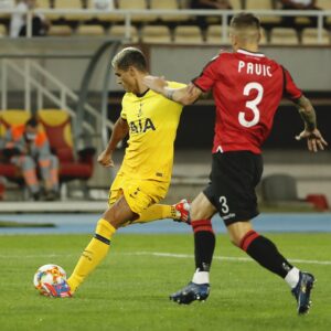 Lamela goal Tottenham 