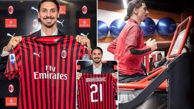 Zlatan Ibrahimovic