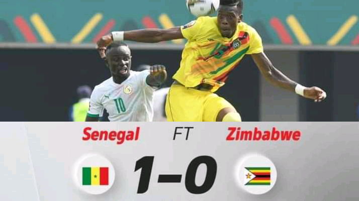 Senegal vs zimbabwe