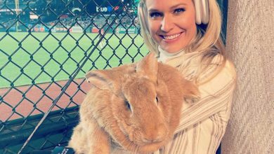 Heidi Watney