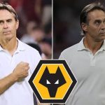 Wolves