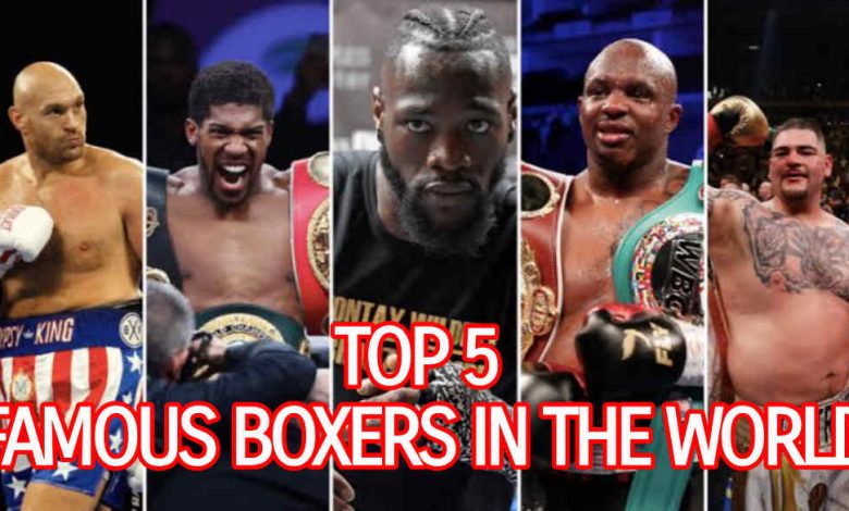 Top 5 Famous Boxers In The World