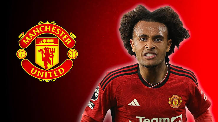 Manchester United PUSH For Joshua Zirkzee MOVE! - MySportDab