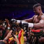 How Much Did Francis Ngannou Make Boxing?