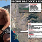 George Baldock
