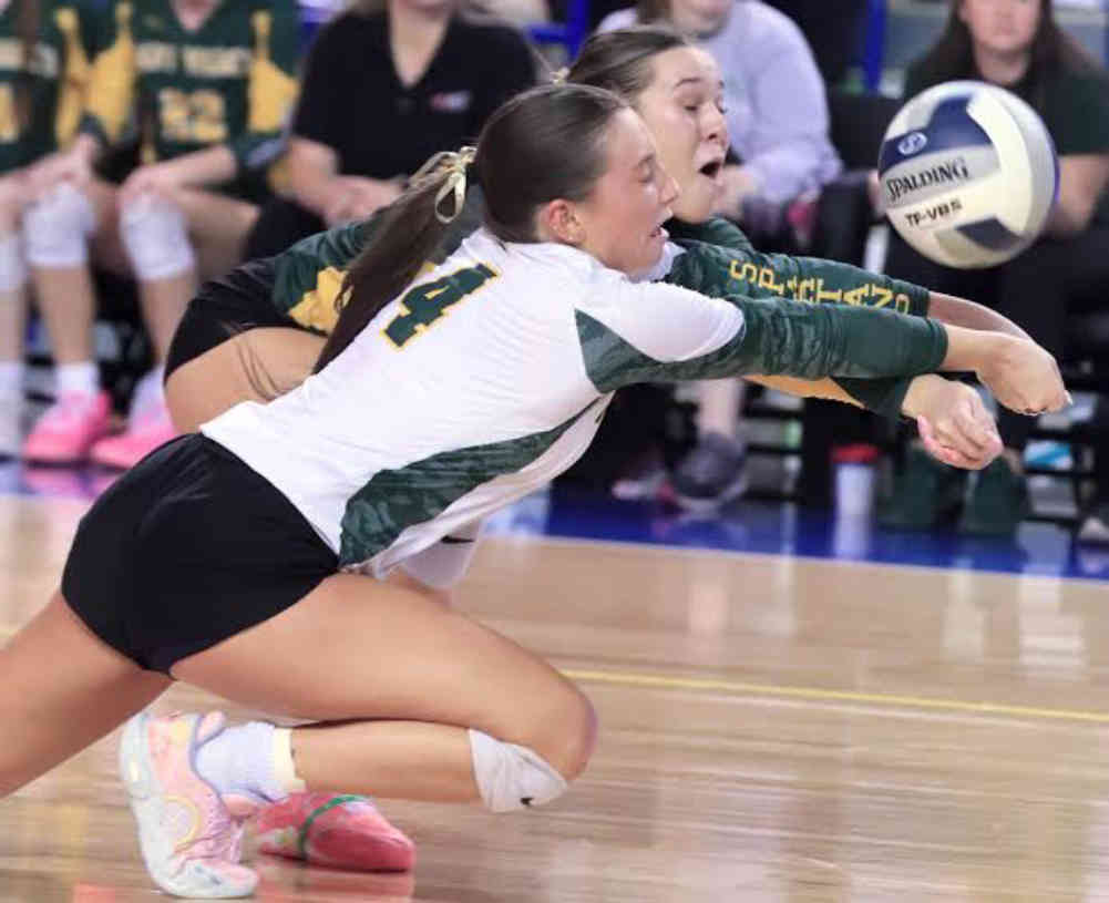 Ashley Strohmeier's Net Worth