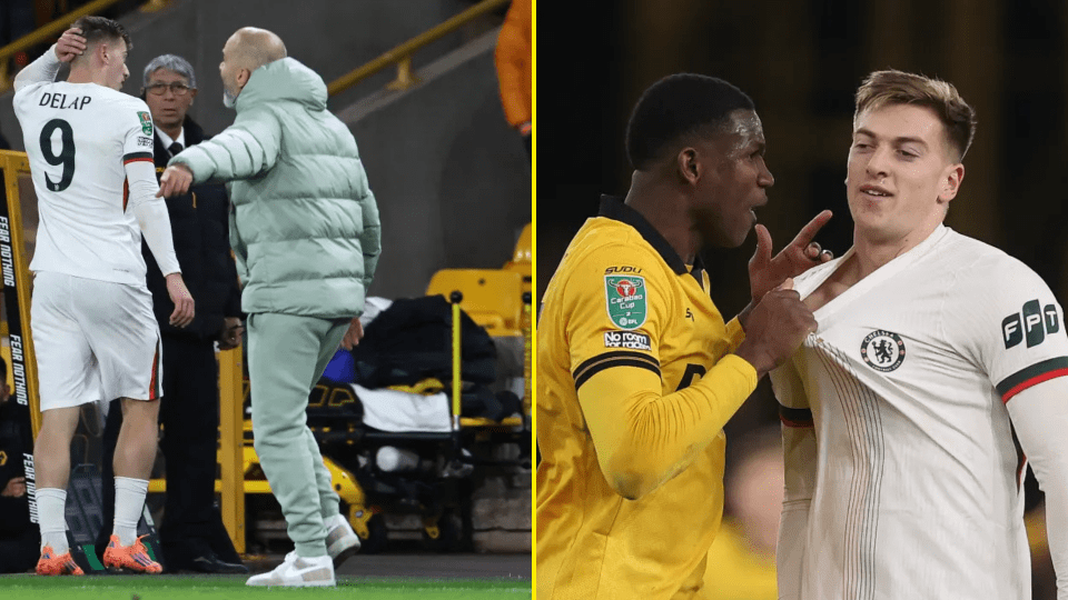 Google-Discover-Twin-10