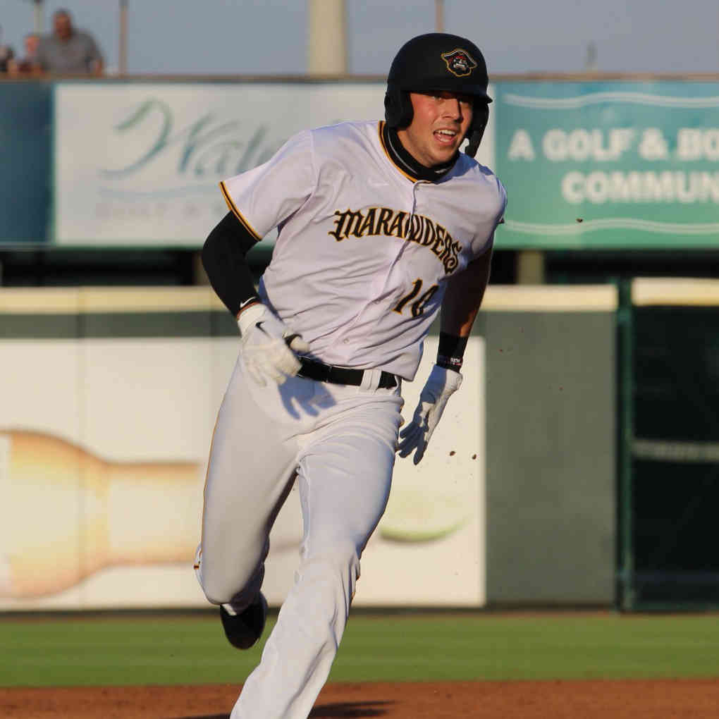 Will Matthiessen's Bio And Career