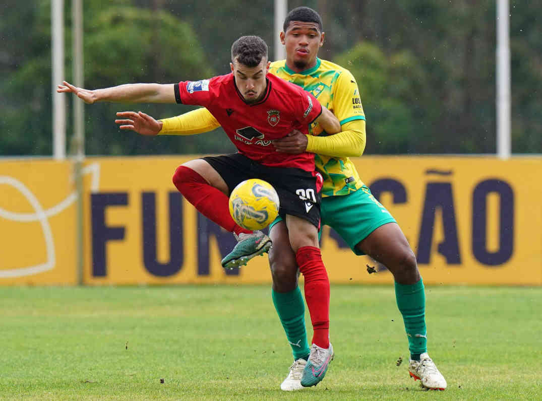 Recent Performance & Stats