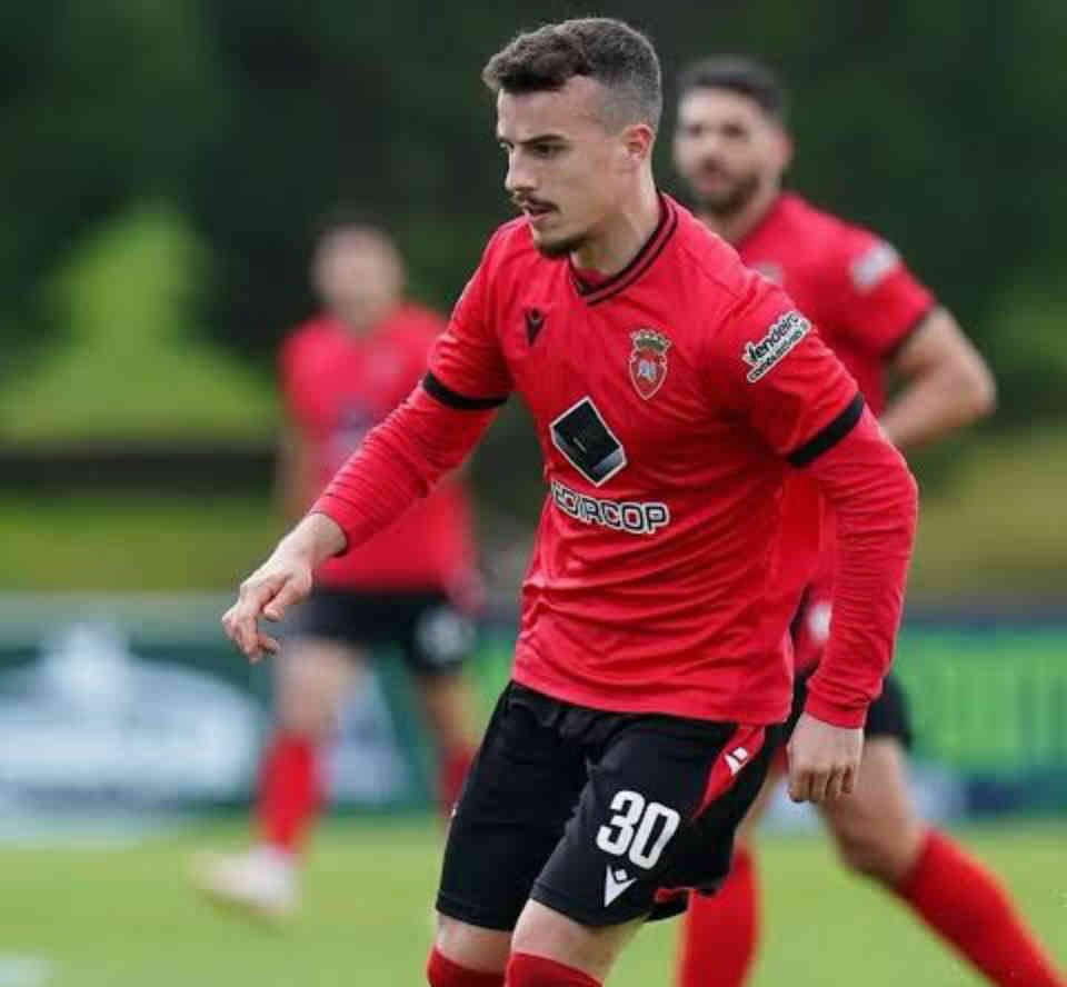 Professional Career Highlights